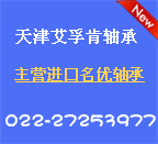 天津艾孚肯轴承进出口贸易有限公司